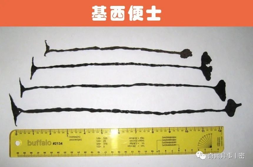 世界上曾被用来替代货币使用的9大事物：贝壳、瓶盖，甚至是尿液！