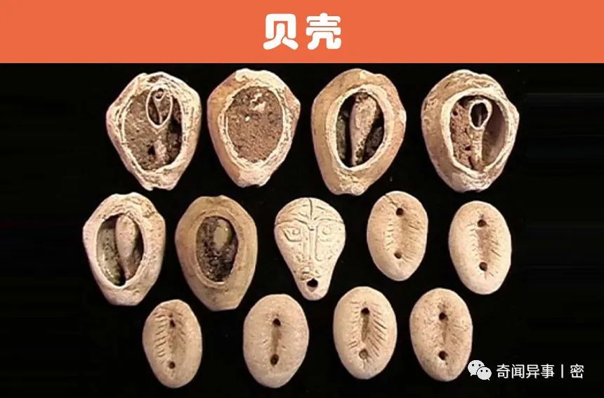 世界上曾被用来替代货币使用的9大事物：贝壳、瓶盖，甚至是尿液！