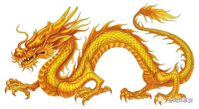 中国先秦一神秘古籍，记载了养龙之法