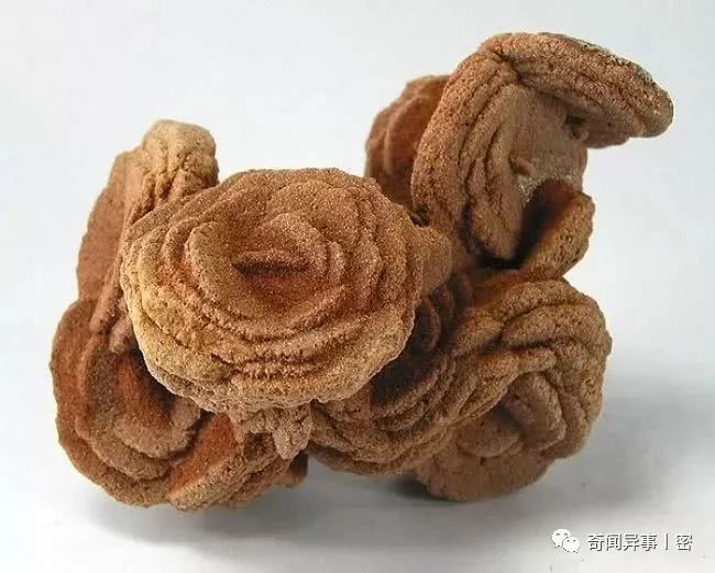 地球上的诡异现象,90%地球人没见过