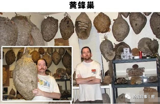 盘点世界上真实存在着的10个怪异的个人收藏!