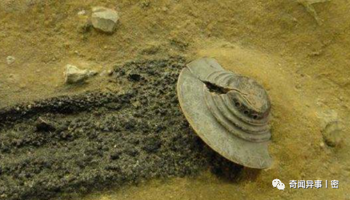 前苏联科夫斯基秘密基地，专门研究外星人