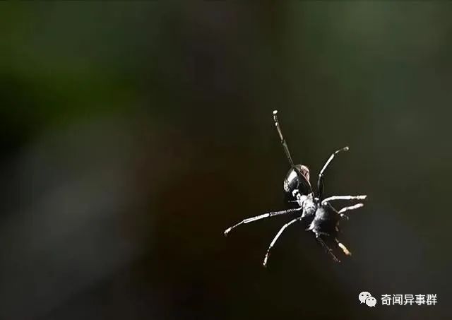 连生物老师都不知道，看完颠覆认知的有趣知识