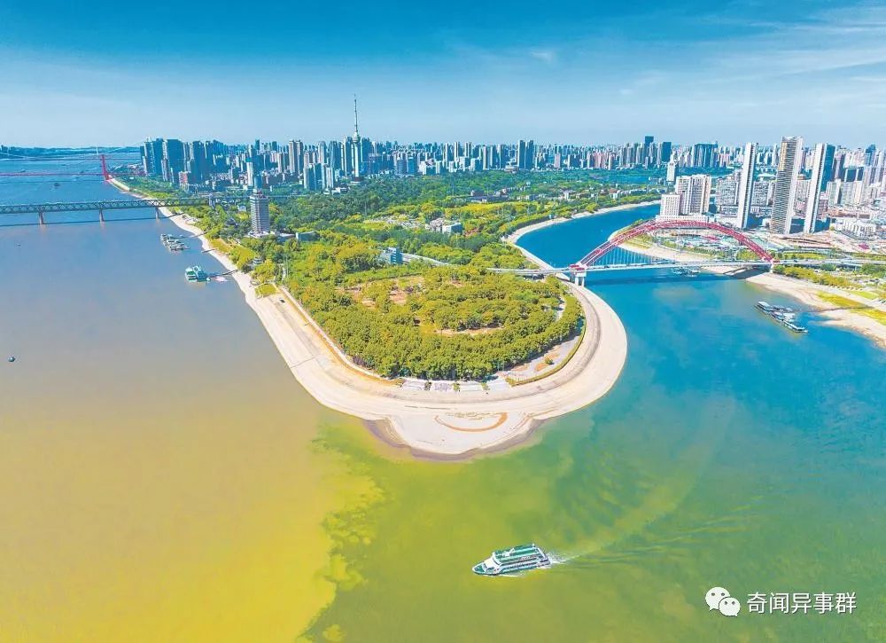 连生物老师都不知道，看完颠覆认知的有趣知识