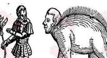 世界十大神秘天书：不明飞行物、魔法咒语？