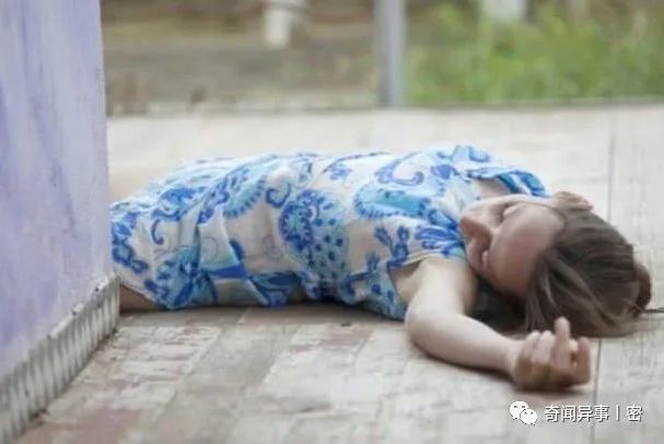 怪谈！真实的宠物诡异事件，它们真能看到人所看不到的世界？