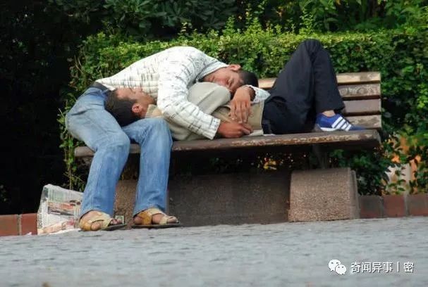 怪谈！真实的宠物诡异事件，它们真能看到人所看不到的世界？