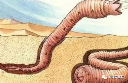 蒙古死亡之虫新解：超出自然范围外的妖灵？