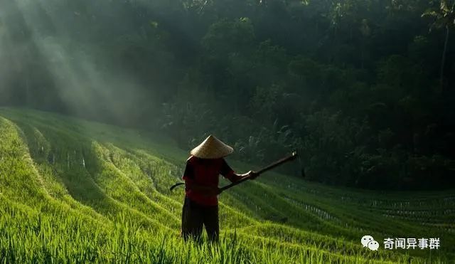 全球五花八门的异食癖，真不敢相信！