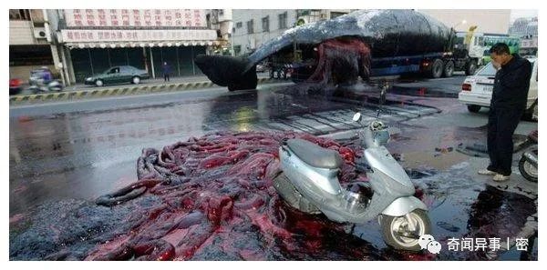 世界5大奇怪民族：另类的族群简介！
