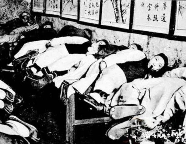 日本蜘蛛蟹穷凶极恶，为何会杀人成性？