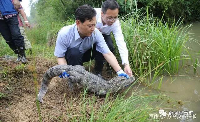 盘点历史上的那些奇怪发明！