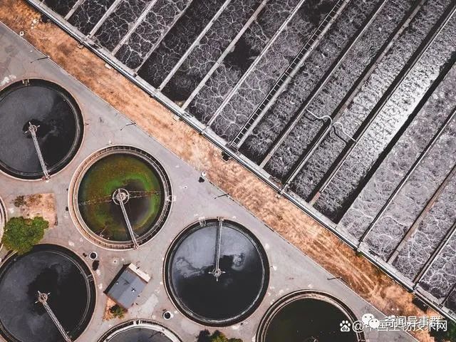 二月初二龙抬头，“五大习俗，三大不宜”早知道，尊重老传统