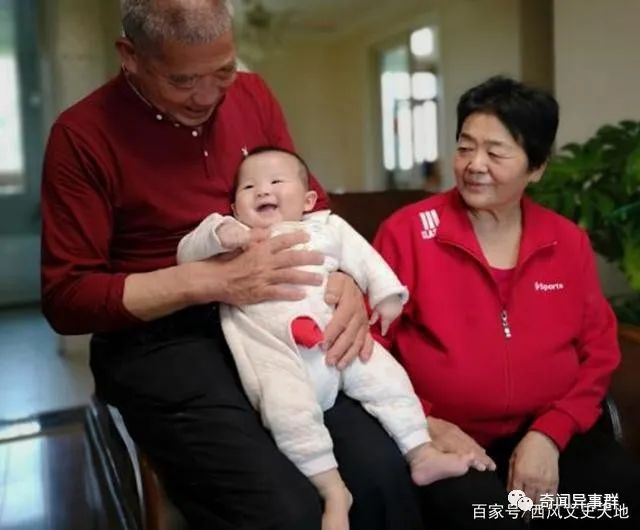 世界十大杀人最多的生物，狗子上榜