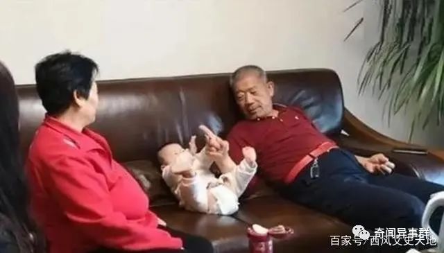 世界十大杀人最多的生物，狗子上榜