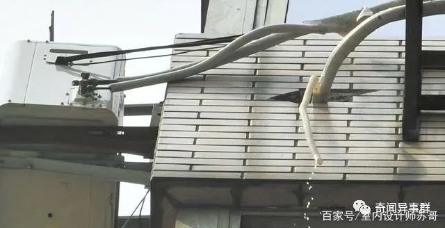 世界十大杀人最多的生物，狗子上榜