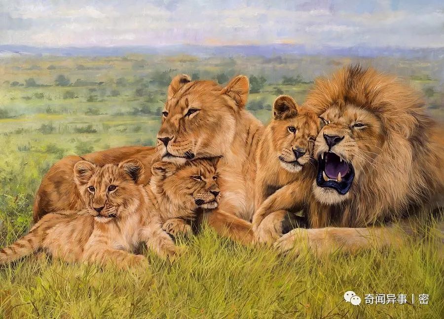 雄性猫为什么要长倒刺，在交配时刮伤雌性？这倒刺什么来头？