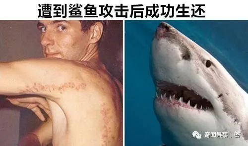 一名女子在张家口市公交车上唱歌后强制收费，乘客们愤怒不已