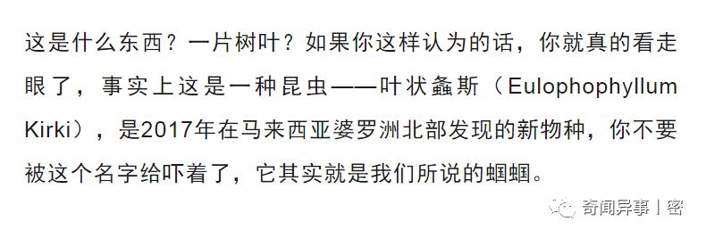 10种罕见动物，最后一种澳洲的身上却有个汉字，但是谁也认不到！