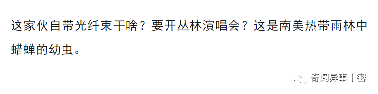 10种罕见动物，最后一种澳洲的身上却有个汉字，但是谁也认不到！