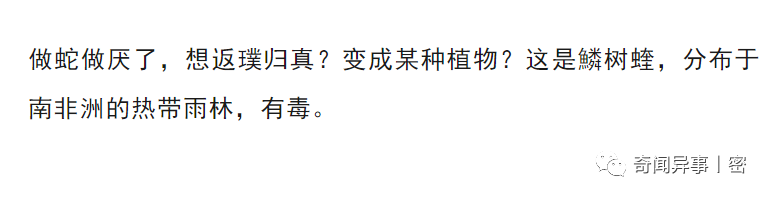 10种罕见动物，最后一种澳洲的身上却有个汉字，但是谁也认不到！