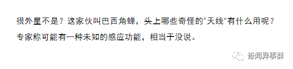 10种罕见动物，最后一种澳洲的身上却有个汉字，但是谁也认不到！