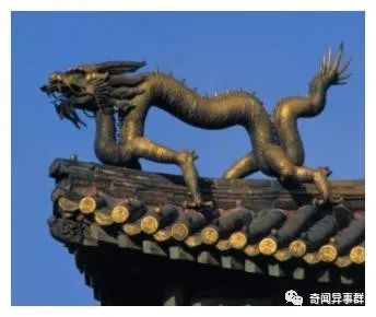 奇闻异事：这才是真的小概率事件！