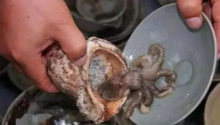 奇闻异事：这才是真的小概率事件！