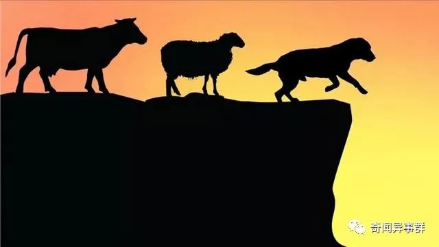 世界各地捕获的16种巨型鱼，大得惊人！
