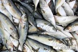 全球十大怪异天气