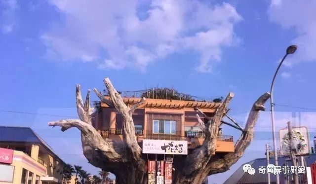 九个未解之谜，至今无人能解，等待人们去探索！