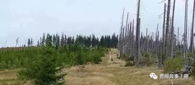 世界各地的国界线，大开眼界！