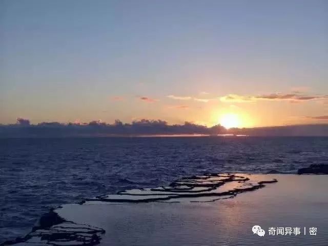 为了生存，这十棵树究竟做了怎样的努力，是人类无法想象的