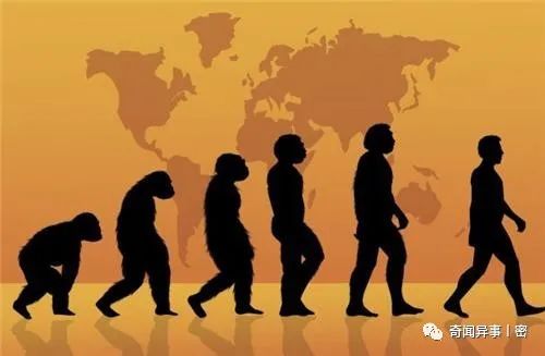 三岁男童竟称转世重生，三年后凭记忆寻前世亲人，重生真的存在？