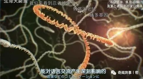三岁男童竟称转世重生，三年后凭记忆寻前世亲人，重生真的存在？