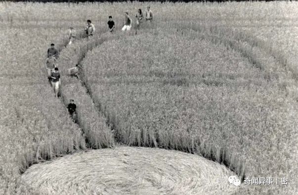 连生物老师都不一定知道的冷知识
