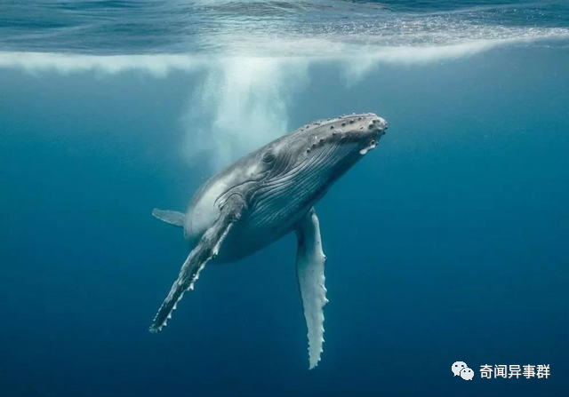 连生物老师都不一定知道的冷知识