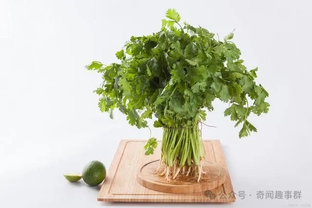 竟然还有世界讨厌香菜日？关于它的“绯闻”你了解多少？