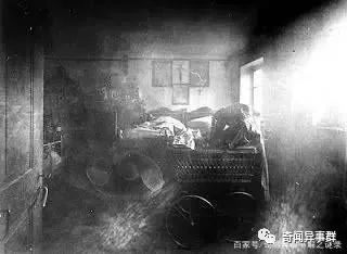 竟然还有世界讨厌香菜日？关于它的“绯闻”你了解多少？
