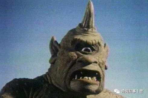 那些名字文雅的中药，其实都是动物的排泄物，你知道几个?