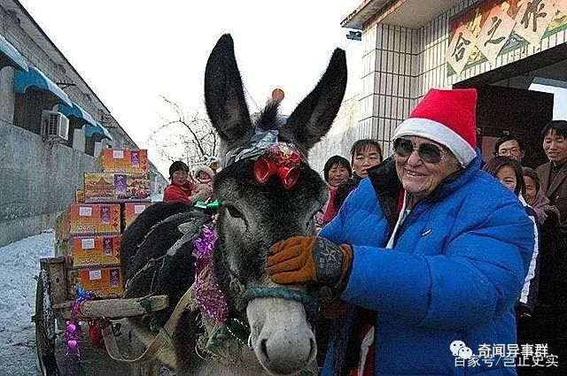 一条内裤50万英镑，沙特国王都养不起她