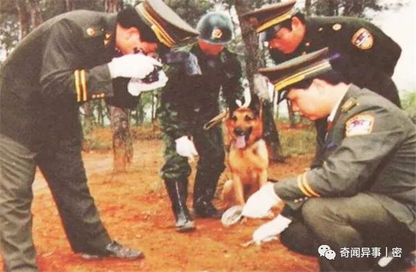 历史上十个最难以置信的真实越狱，电影都不一定有他们精彩！