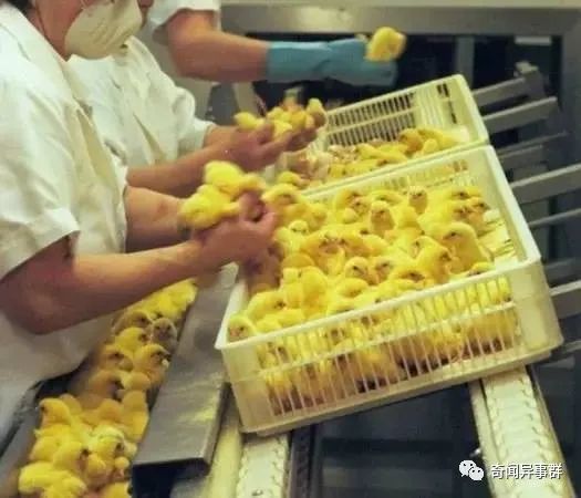 小伙经常昏倒在地，医生检查发现：大脑里有两颗子弹