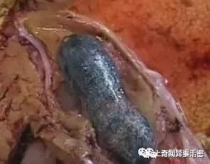康熙口误叫错一水果名，大家跟着叫错300年，如今你叫对了吗？