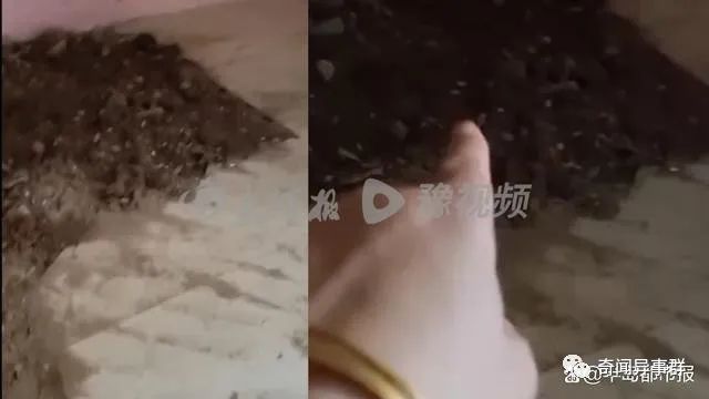 世界十大神秘天书：不明飞行物、魔法咒语？