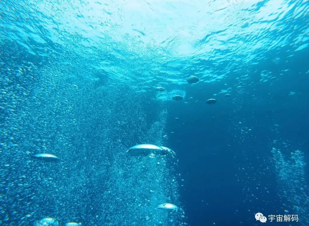 揭秘深海之谜：深海为何比太空更加恐怖？