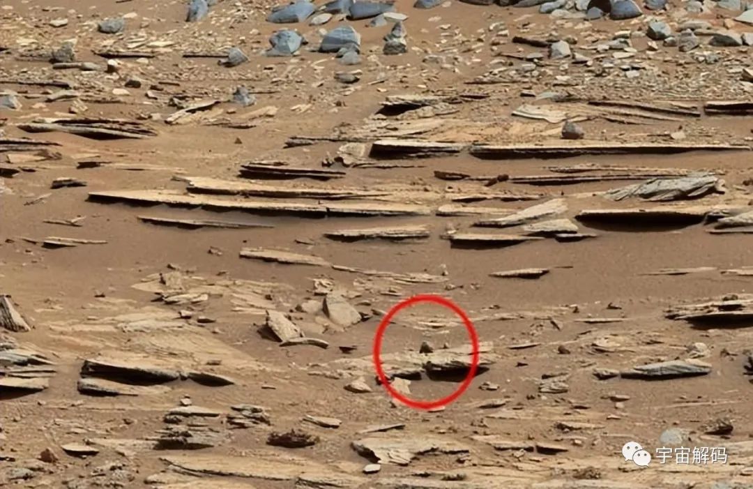 火星是地球的过去，地球过去就是火星的样子，为什么有这种说法