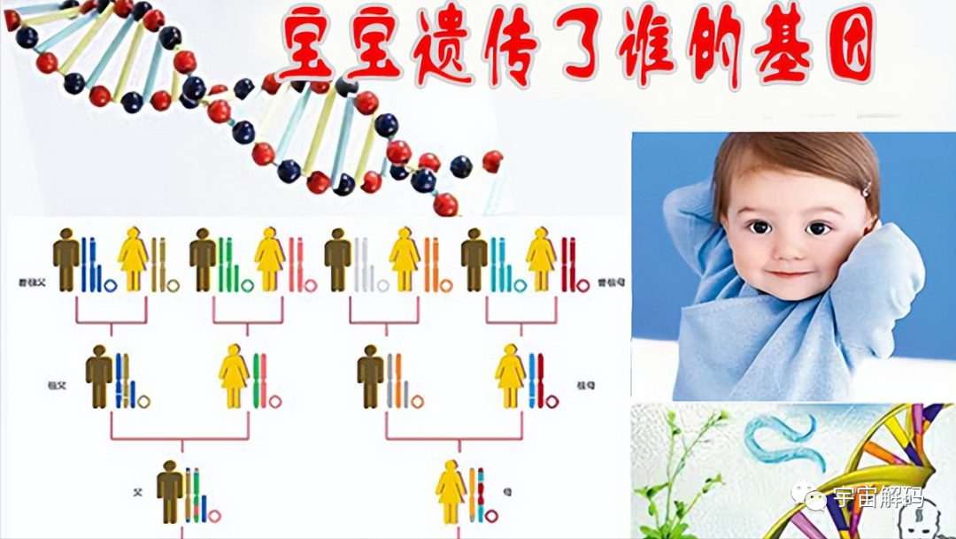孩子出生时“几斤几两”，暗示智商的高低？