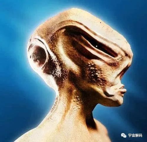 无比异常的“红王后”骨骼，究竟是什么？难道真是外星人头骨？
