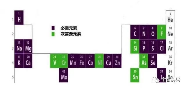 为何恒星聚变到铁就停止了？宇宙中比铁重的元素又是哪来的？